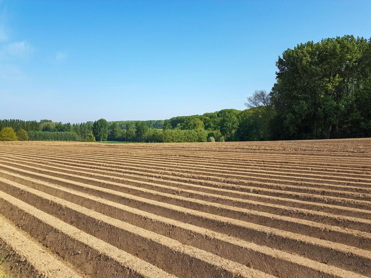Vakantiewoning Hakuna Matata Geraardsbergen Kültér fotó