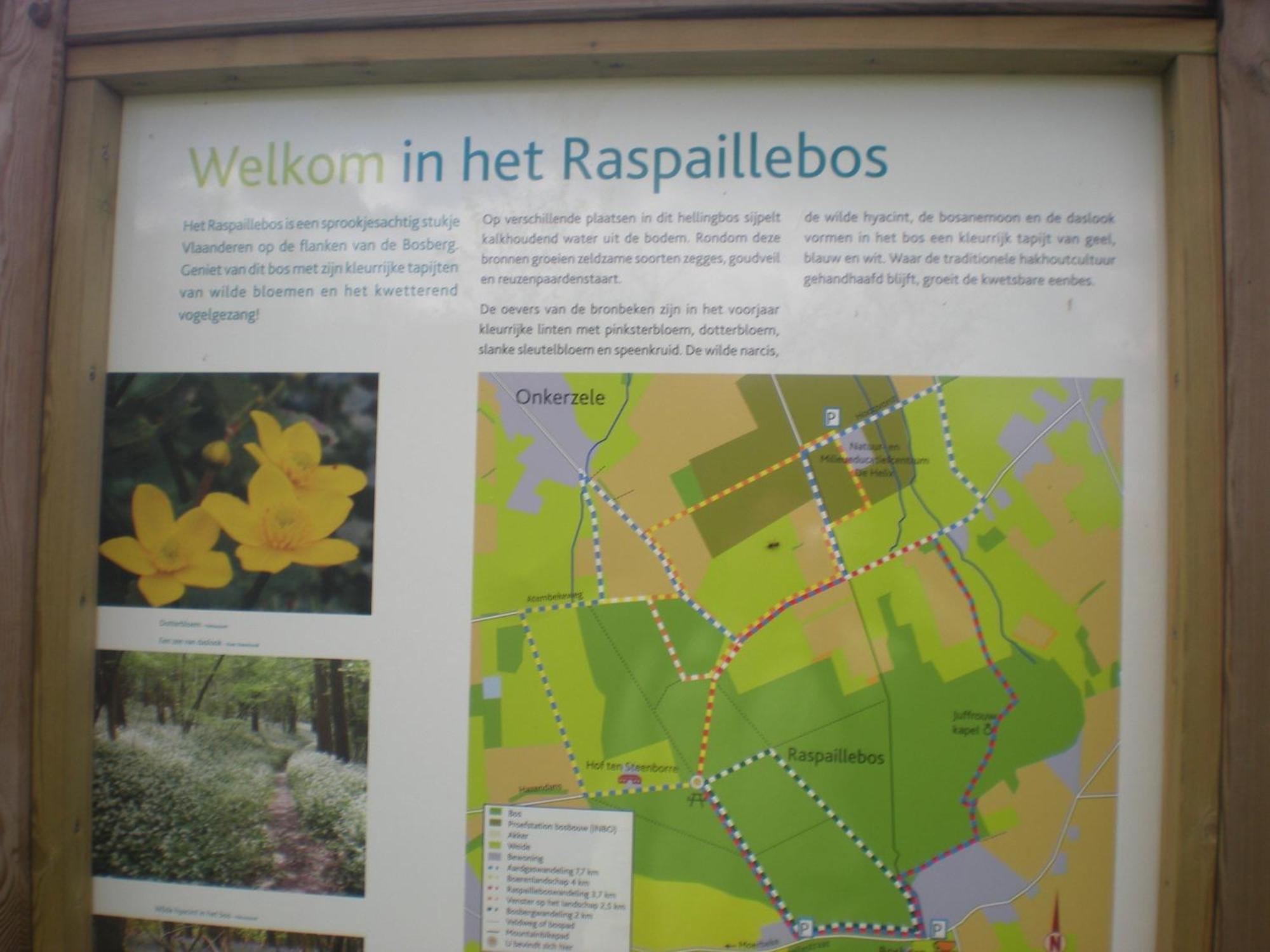 Vakantiewoning Hakuna Matata Geraardsbergen Kültér fotó